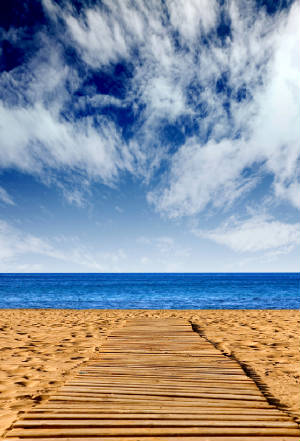 bigstockphoto_Route_To_Happiness_-_Beach_Pat_1265292.jpg